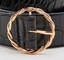 La cinghia di Pin Buckle Double la O Ring Metal Accessories For Ladies della catena del cerchio calza gli indumenti delle borse